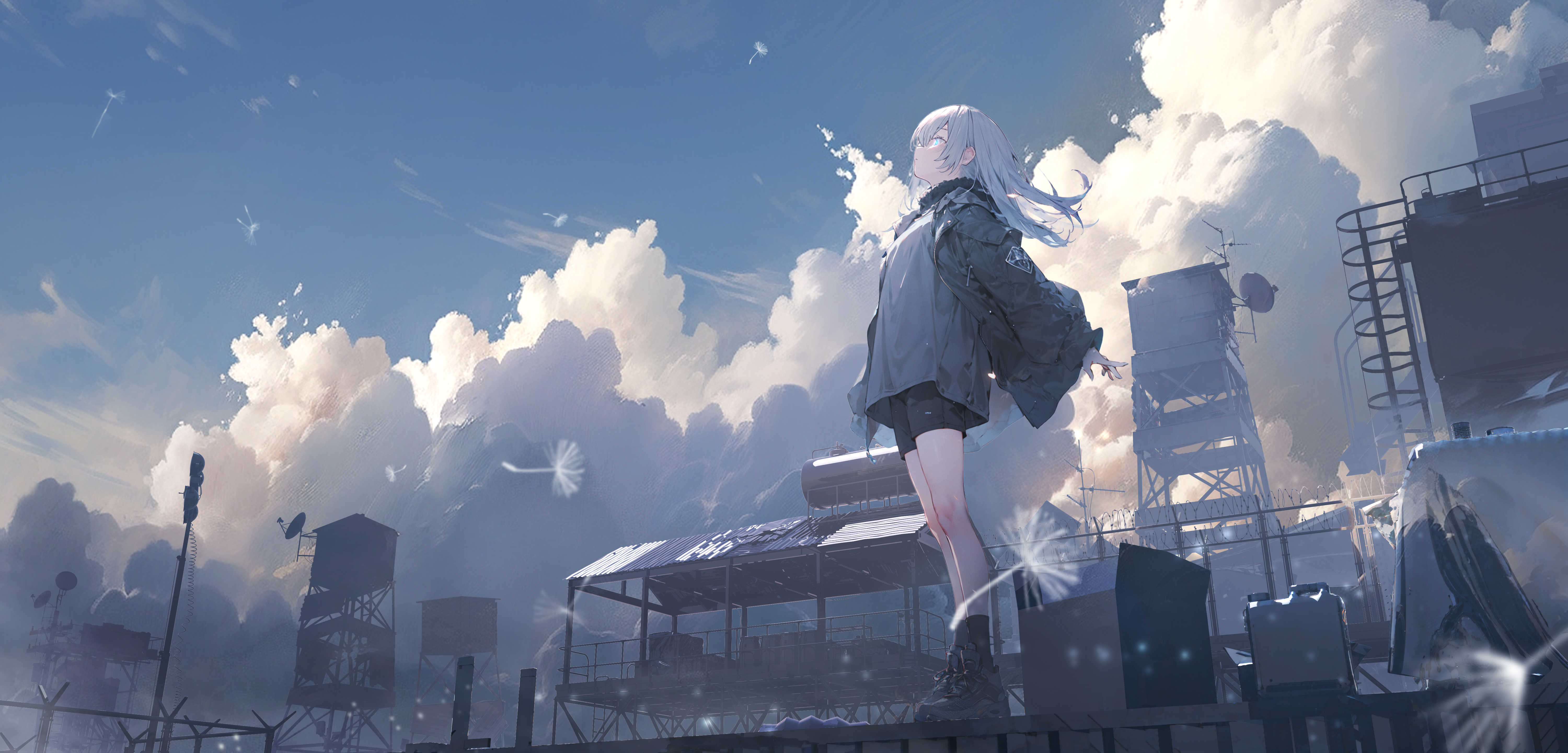 wallhaven精品壁纸 原画质 热门壁纸 办公必备