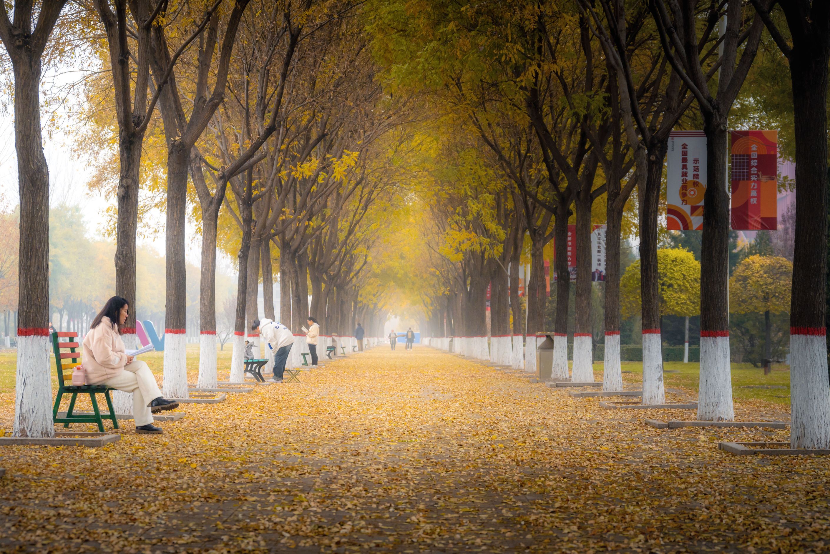 大学时光