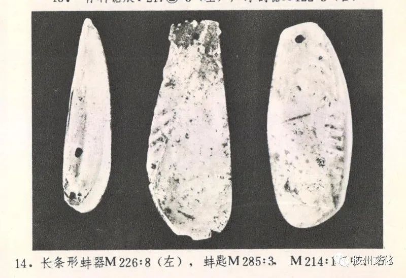 按图索骥3.jpg