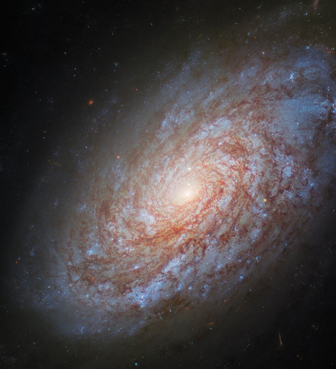NGC 4414：絮状的螺旋星系