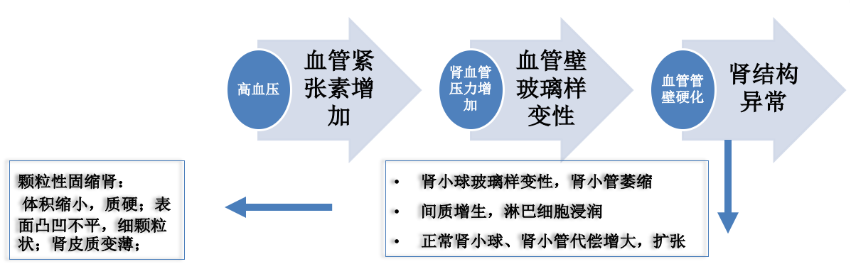 屏幕快照 2021-09-28 上午10.34.45.png