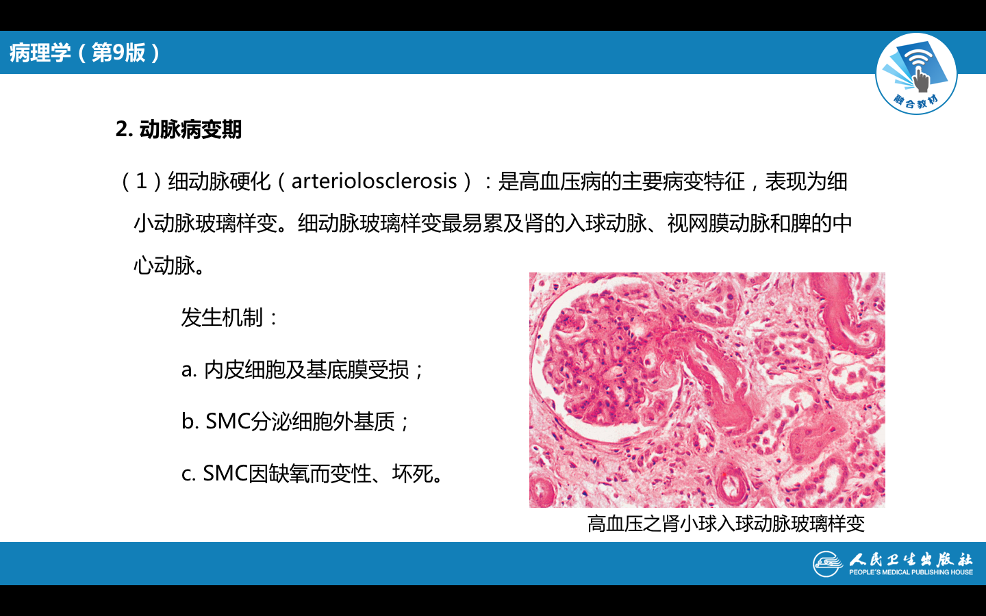 屏幕快照 2021-09-28 上午10.54.04.png