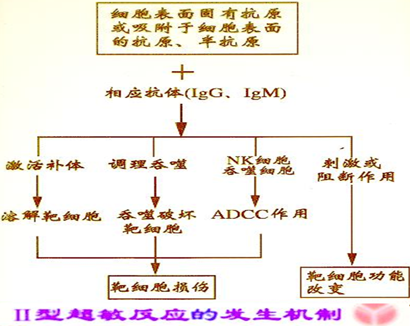 课程门户-章节详情