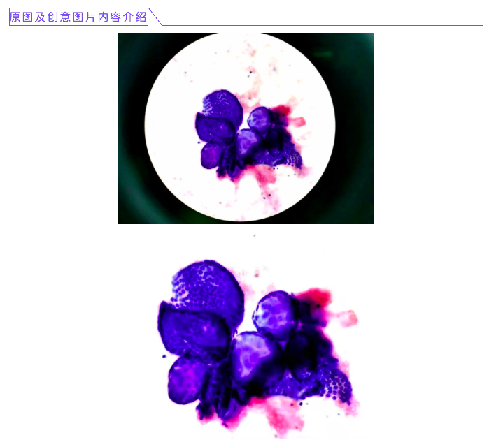 屏幕快照 2021-03-03 下午5.24.53.png