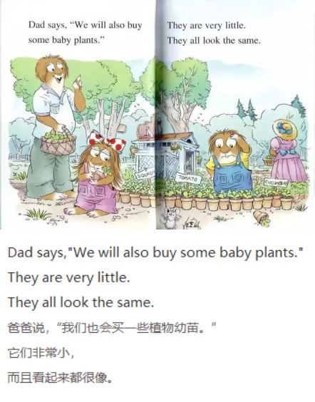 《A Green, Green Garden》绿油油的菜园03.jpg