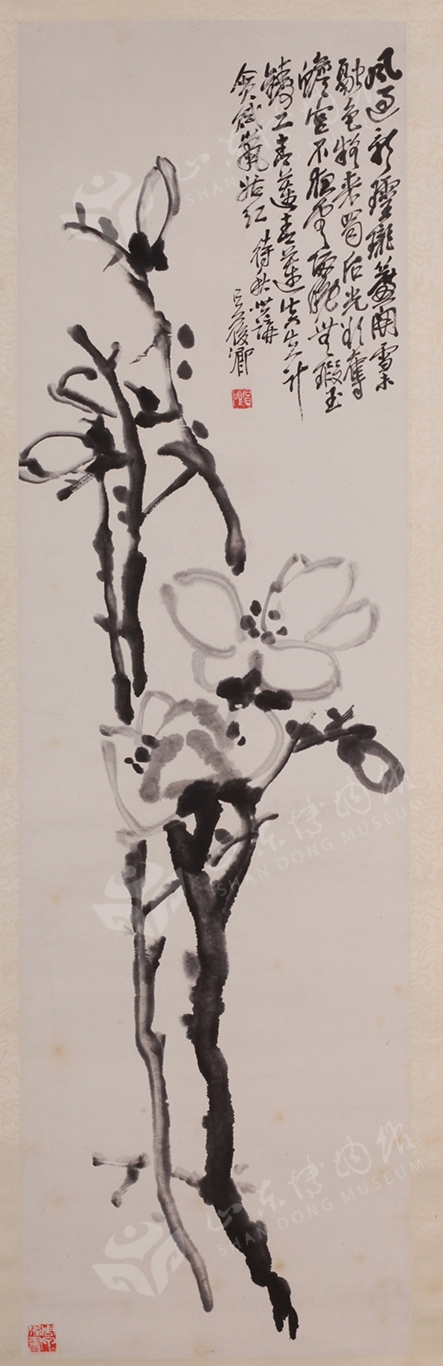 1513599289905.jpg 315.jpg