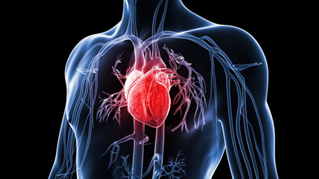 正常人体功能-护理助产课程封面