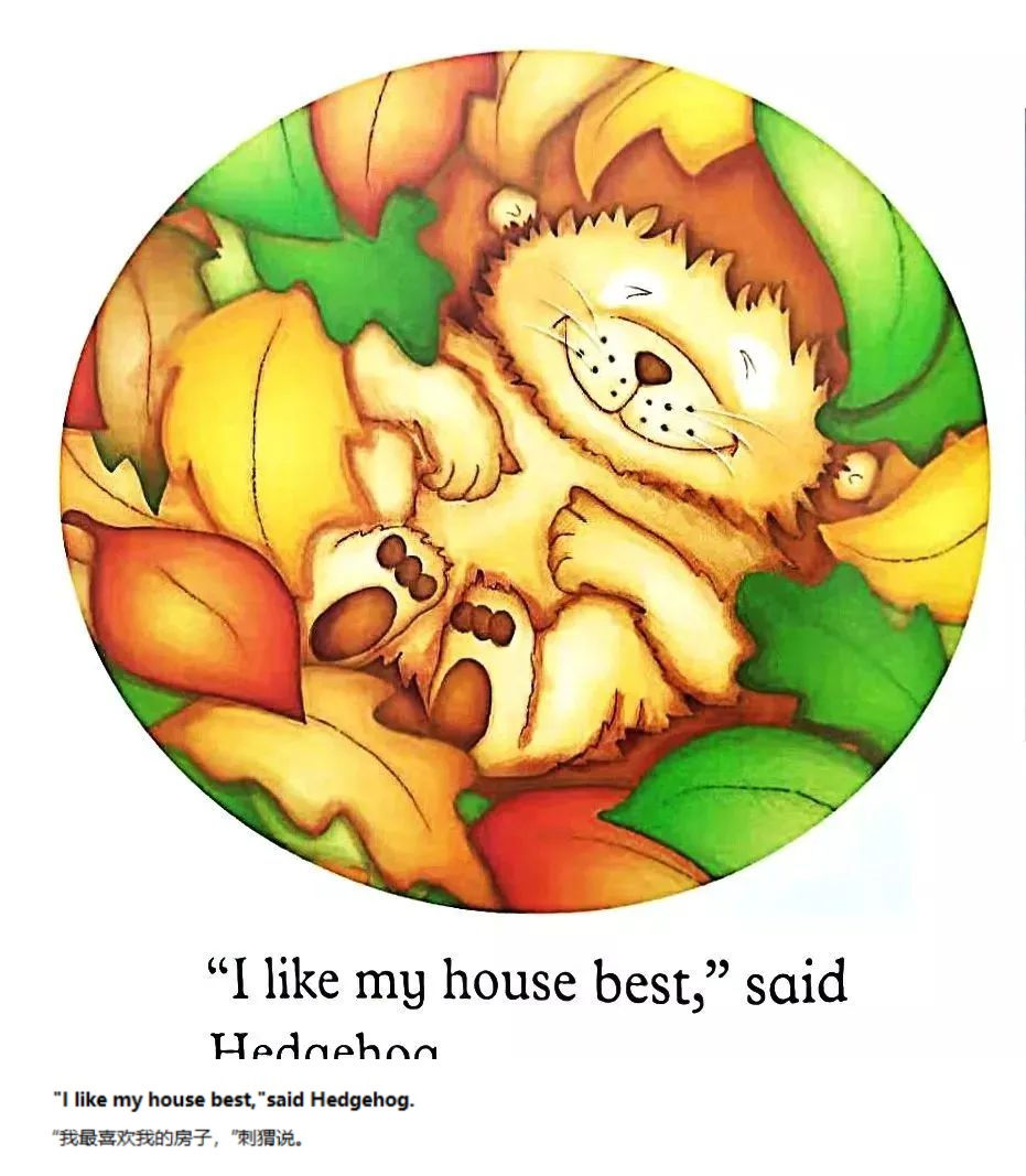 《A House for Hedgehog》刺猬的新家06.jpg