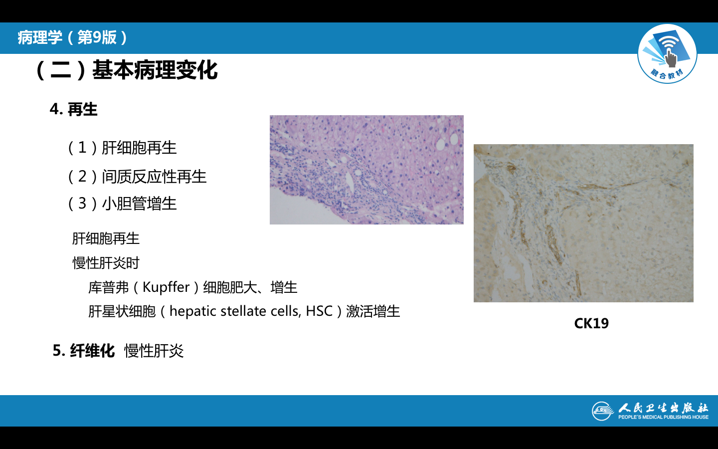 屏幕快照 2021-10-19 下午5.31.58.png