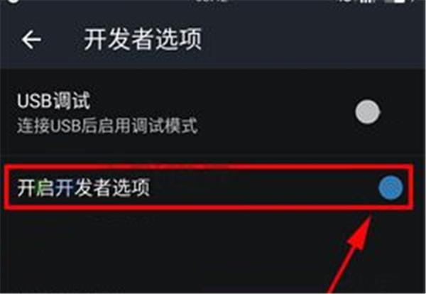 一加6打开开发者选项的具体操作 一加6打开开发者选项的具体操作
