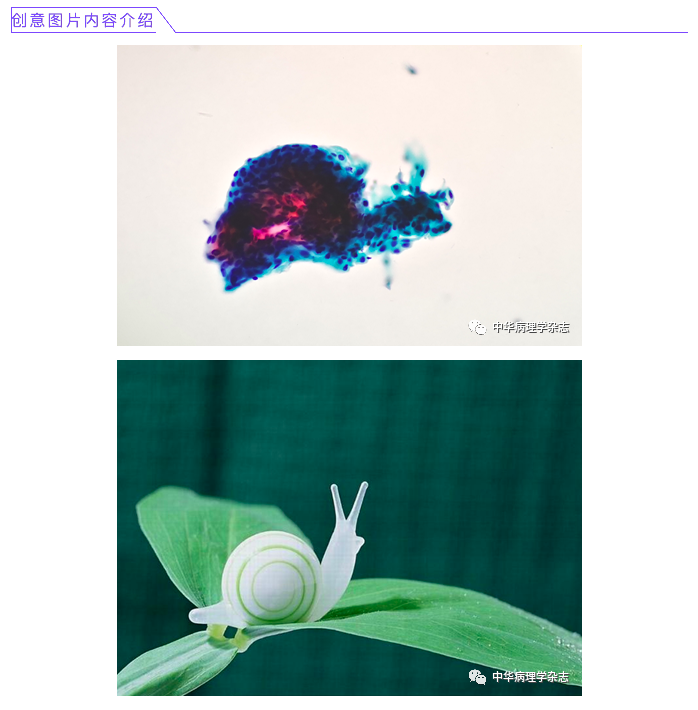 屏幕快照 2021-03-03 下午4.56.15.png