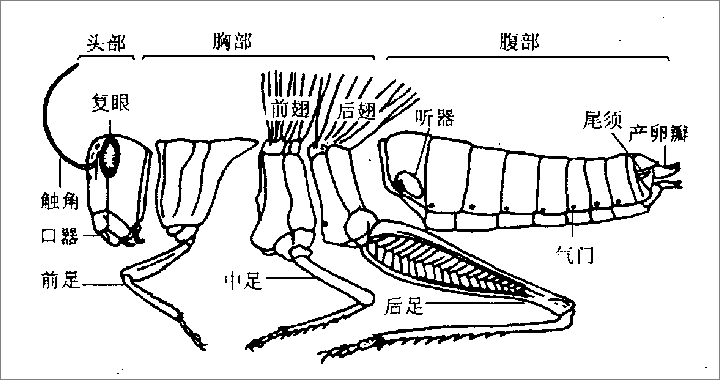 7b52bce03a1997c60885a4c23461b3a0.png