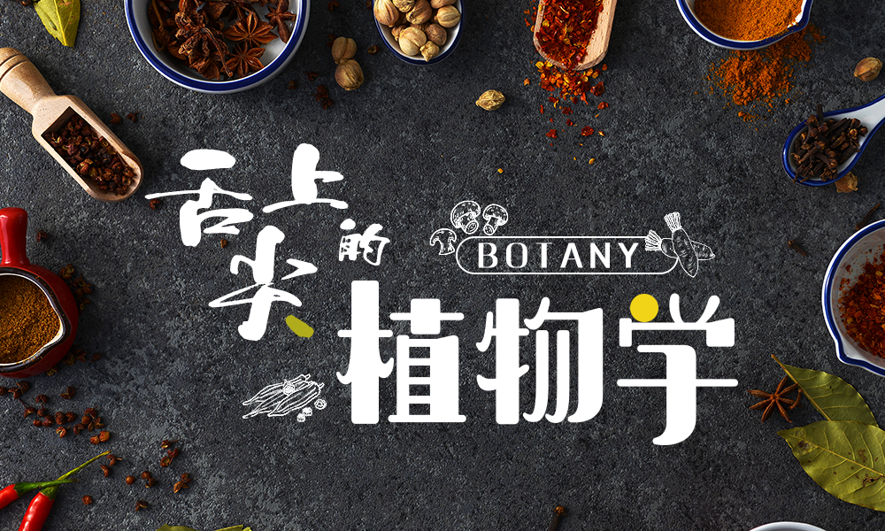 尔雅通识课刷不完(尔雅课没刷完能考试吗)