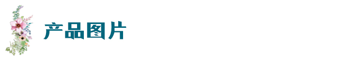 产品图片.jpg