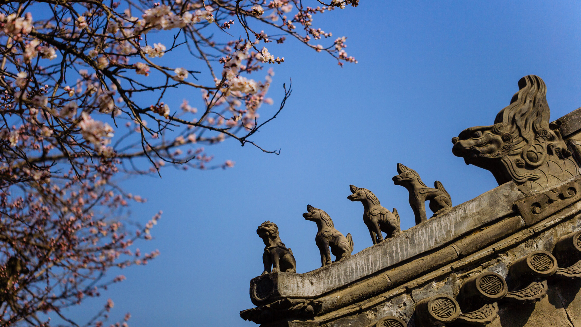 紫禁城岁时