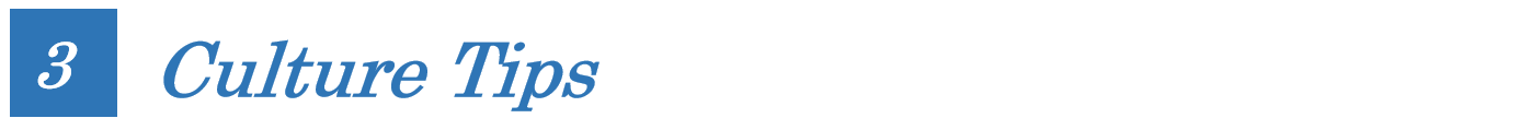 3 Culture Tips.png
