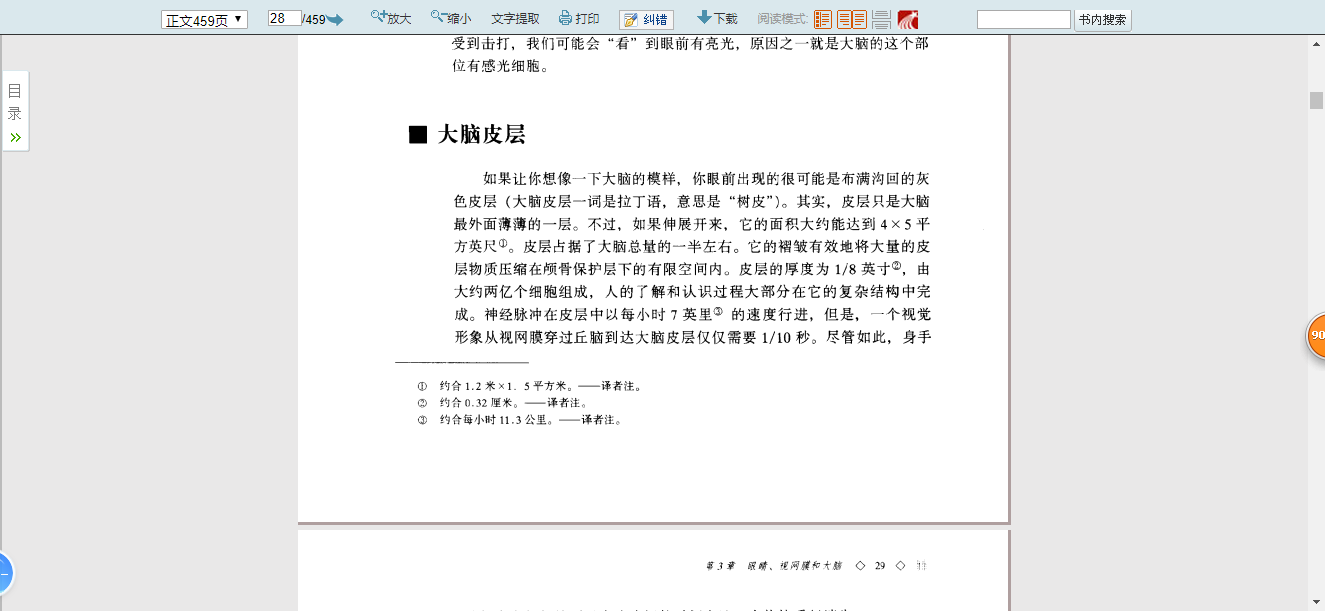 眼睛、视网膜、大脑28.png
