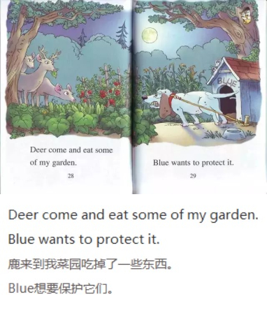 《A Green, Green Garden》绿油油的菜园12.jpg