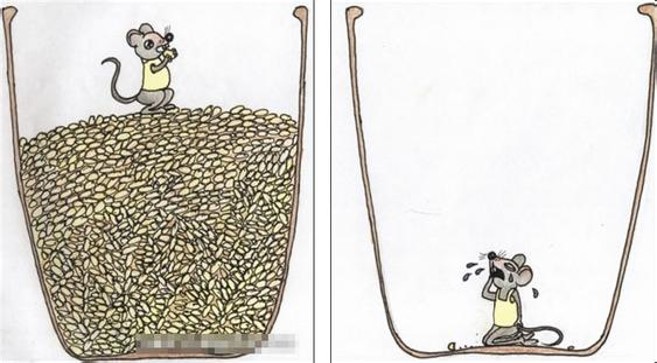 老鼠和米缸的故事.jpg