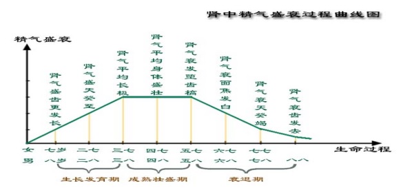 课程门户-章节详情