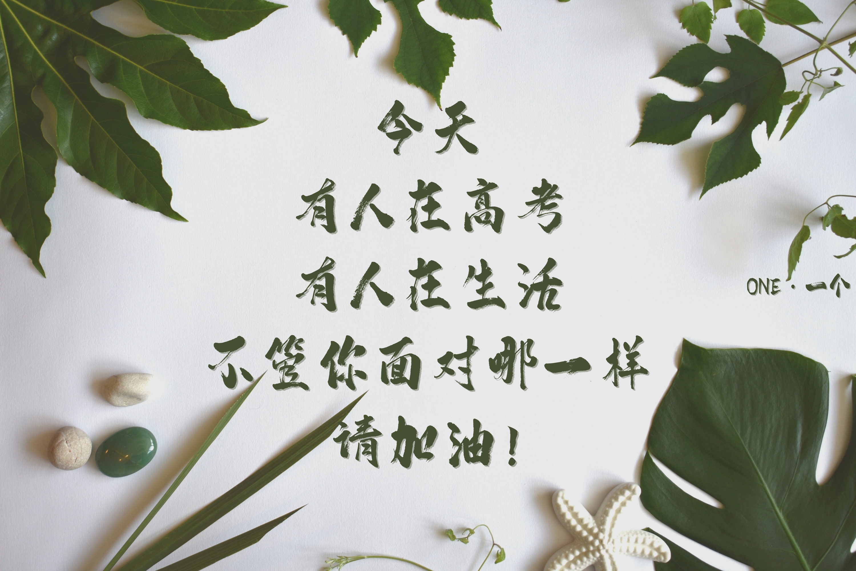 优质桌面背景 新潮 原版 高清无水印素材 #9308
