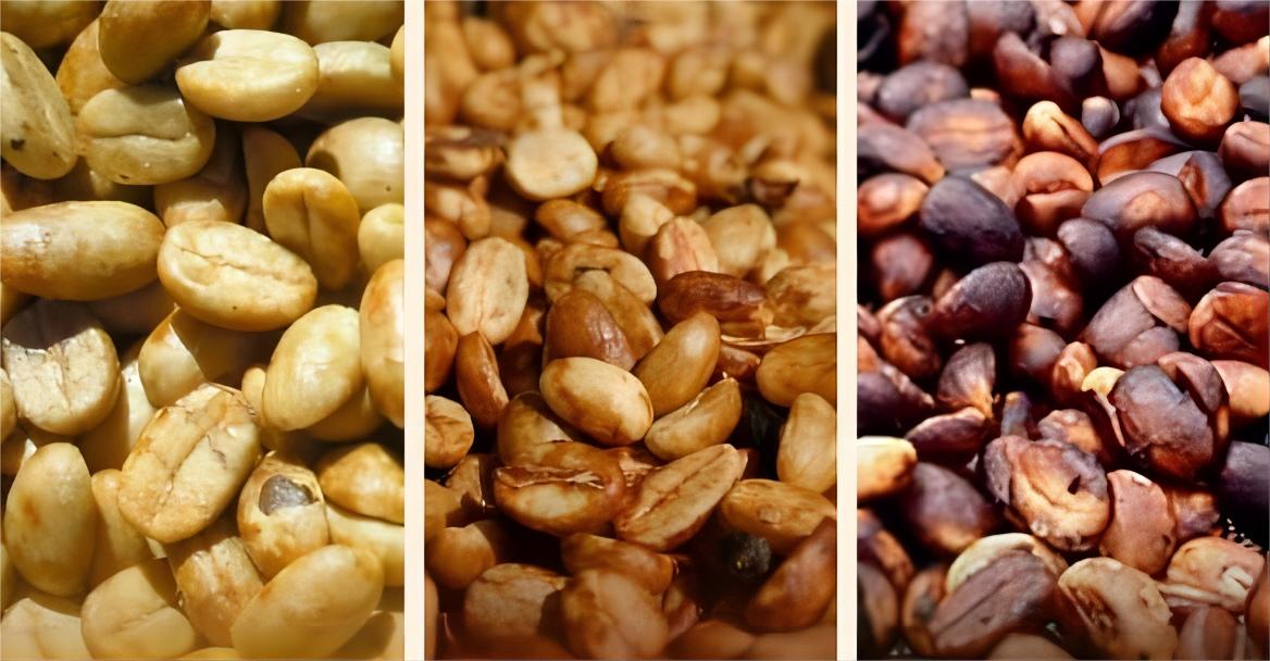 图1-1-16 黄蜜、红蜜、黑蜜.jpg