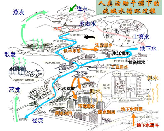 水的社会循环.png