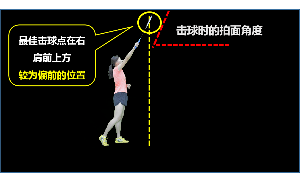 课程门户-章节详情