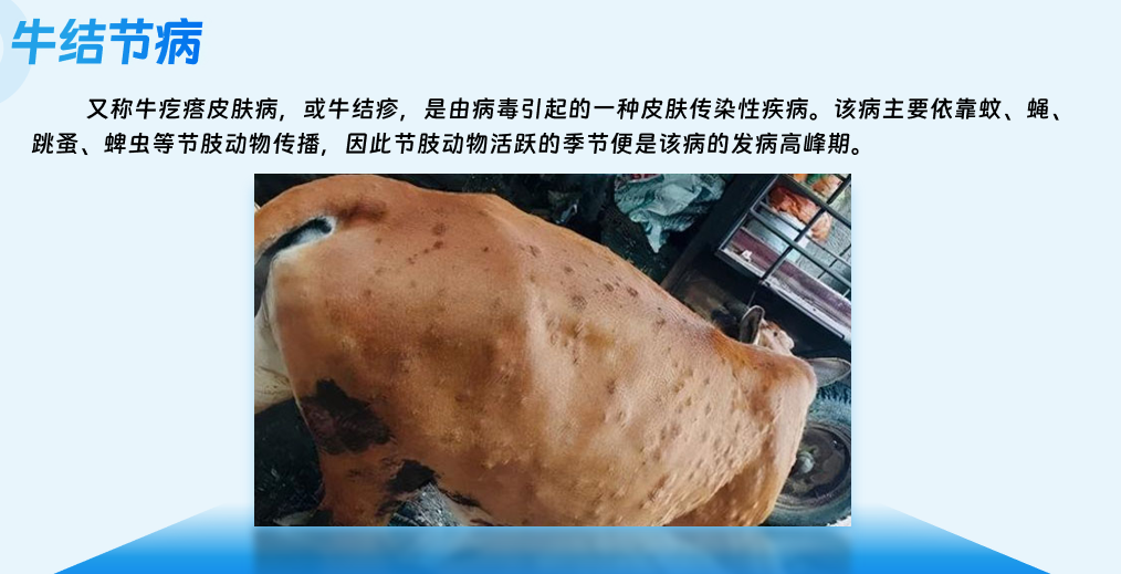 课程门户-章节详情