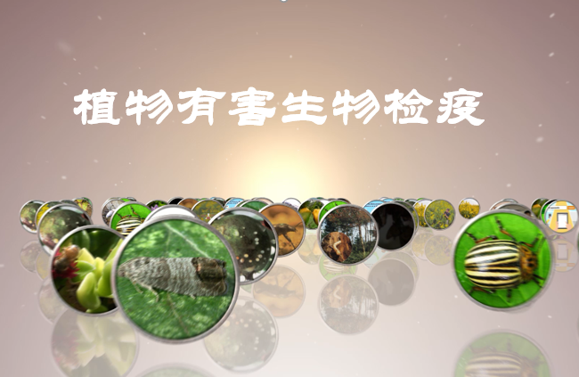植物有害生物检疫（第10期）课程封面