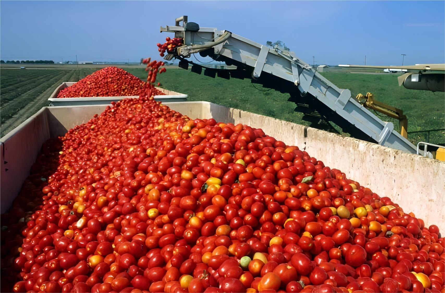 图1-1-6 机器采摘法.jpg