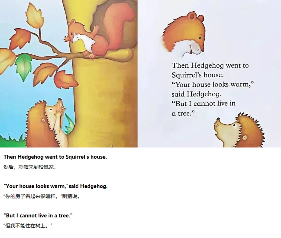 《A House for Hedgehog》刺猬的新家03.jpg