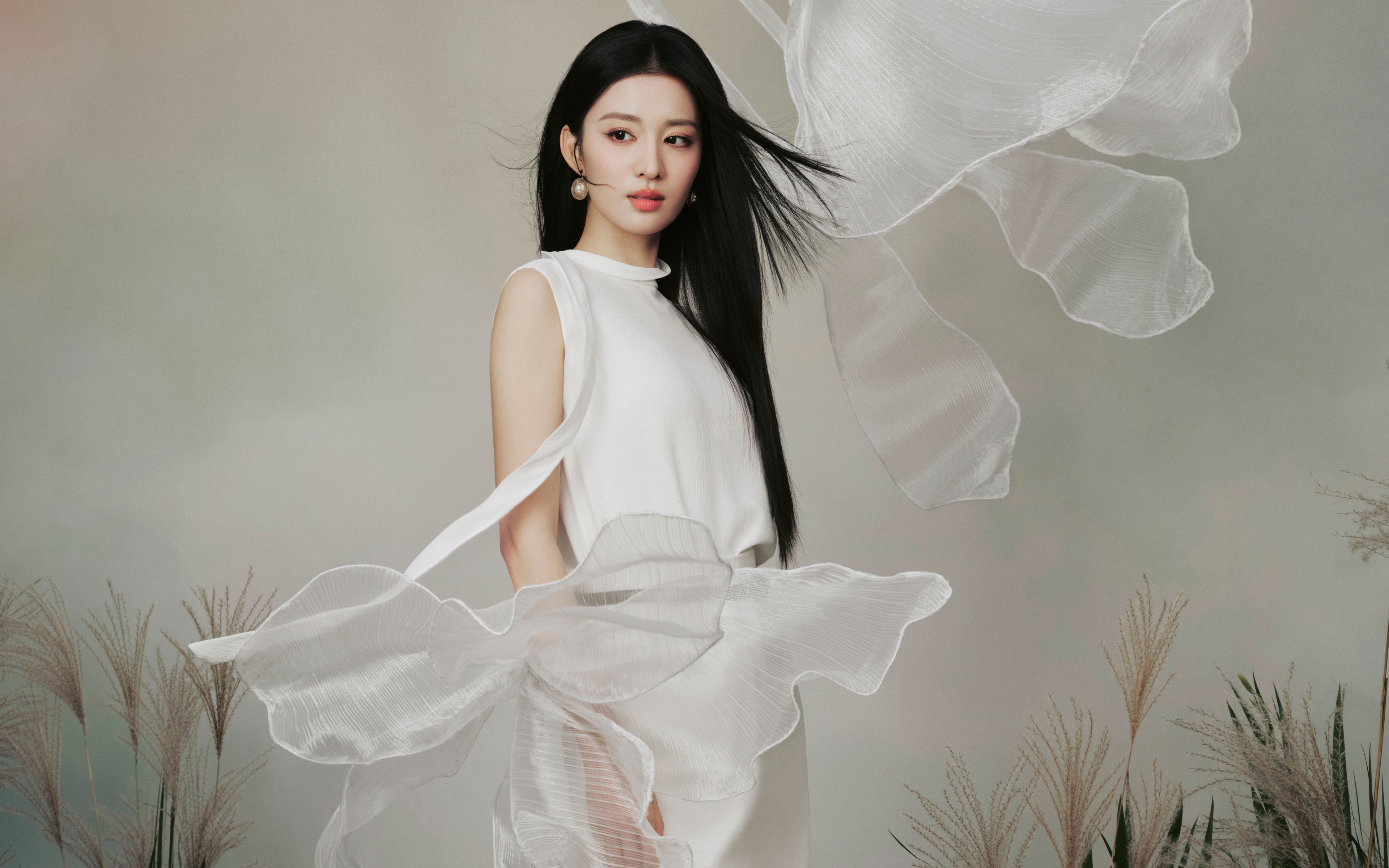 彼岸精品壁纸 超清版 手机壁纸 护眼舒适