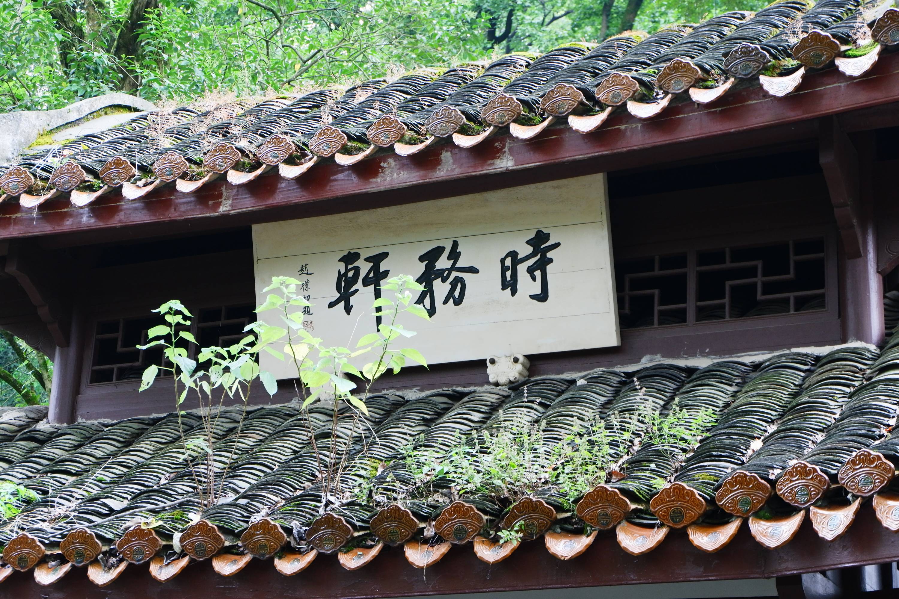 超清全屏壁纸 精美 图集 电脑桌面专用 #11306