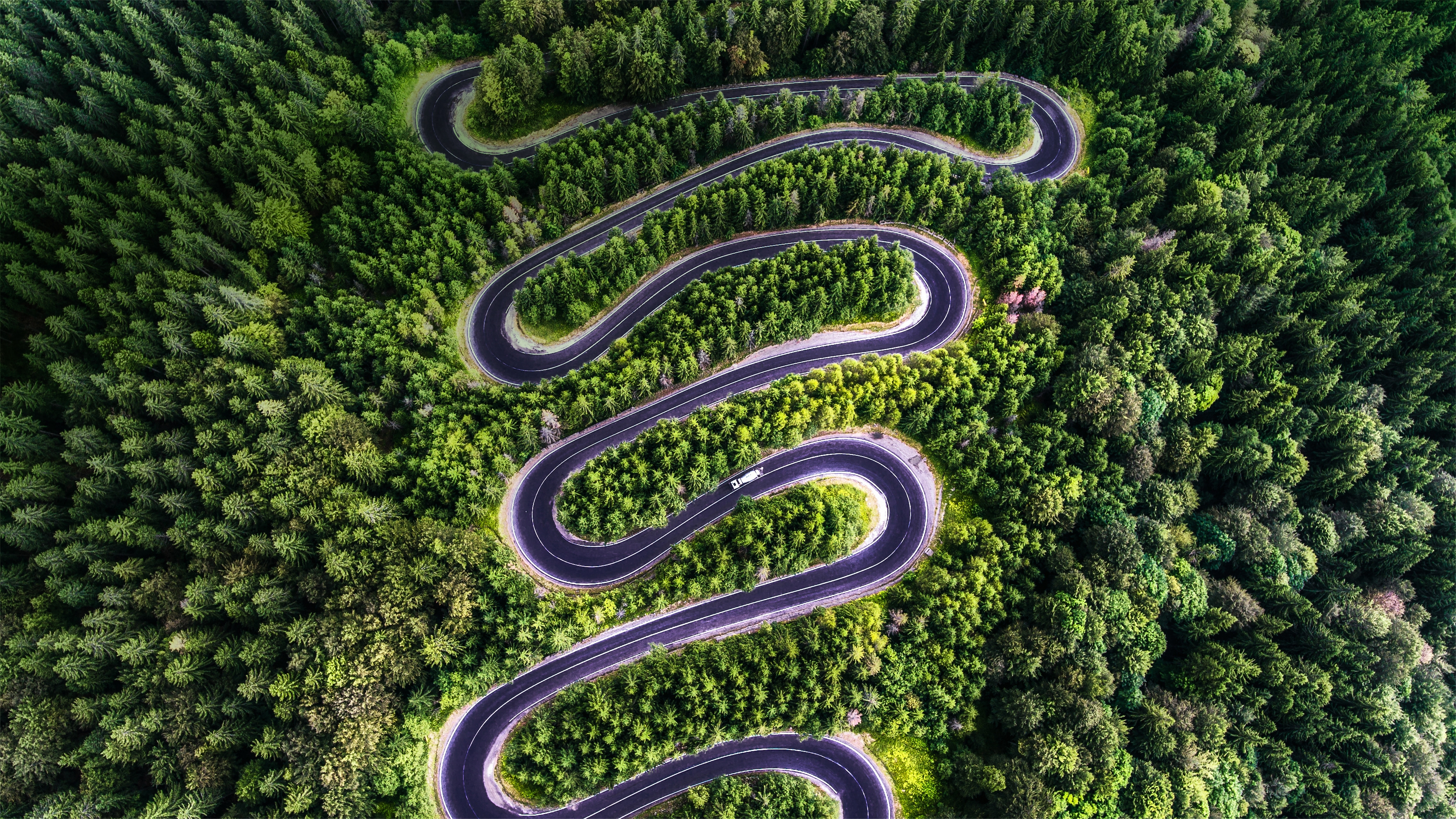 Snake壁纸 #2833