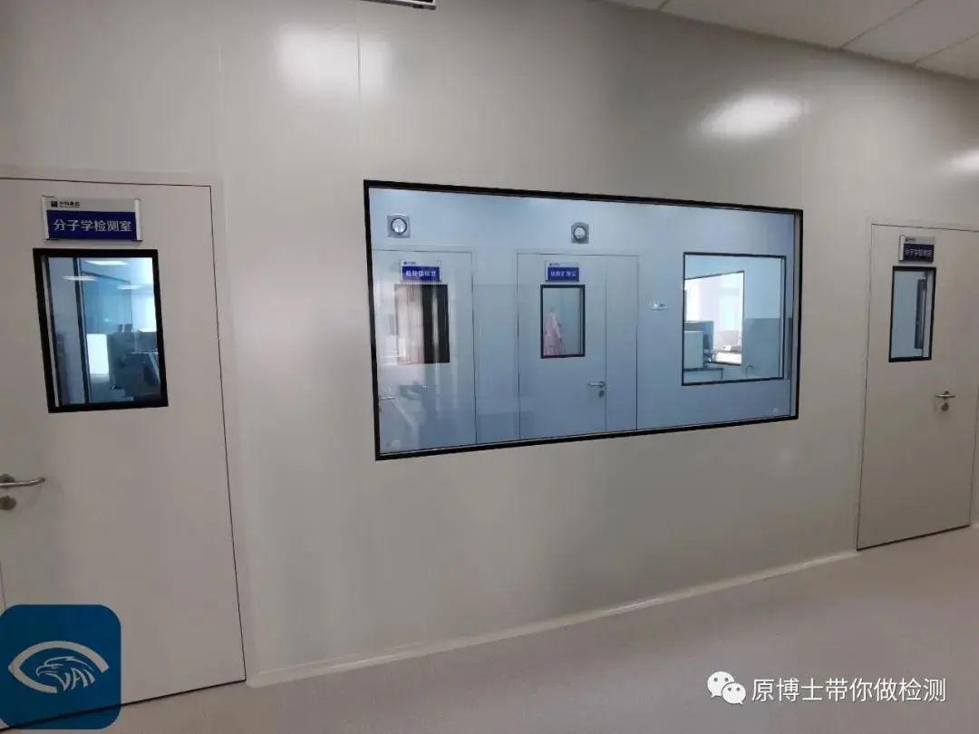 分子学检测室.jpg