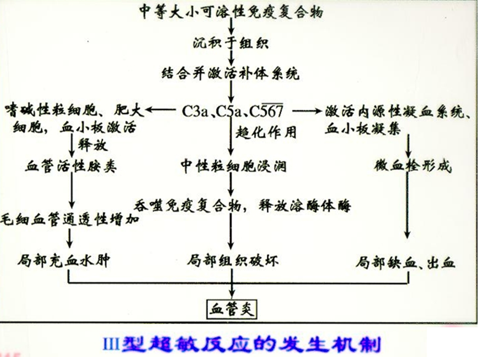 课程门户-章节详情