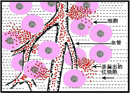 课程门户-章节详情
