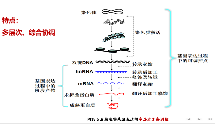 课程门户-章节详情