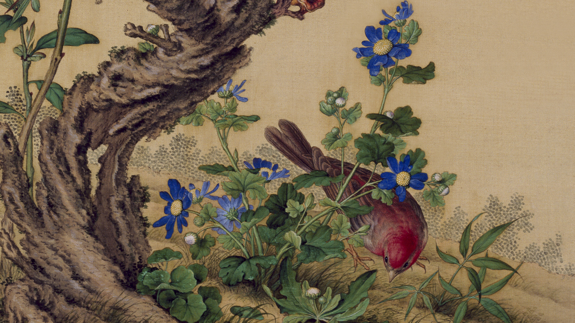 清乾隆 郎世宁花鸟图轴