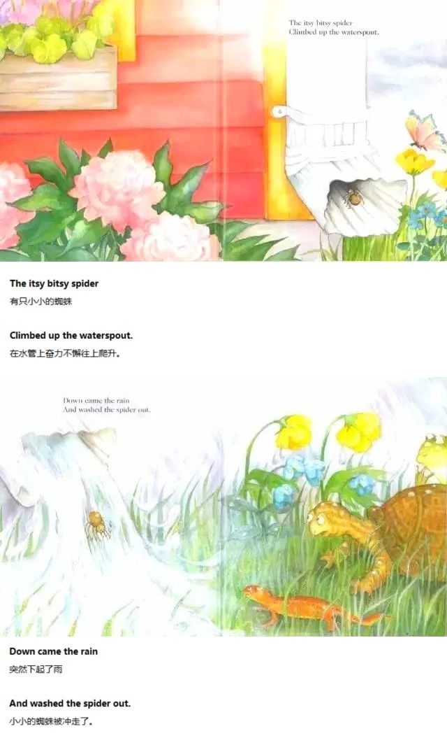 《The Itsy Bitsy Spider》可爱的小蜘蛛01.jpg