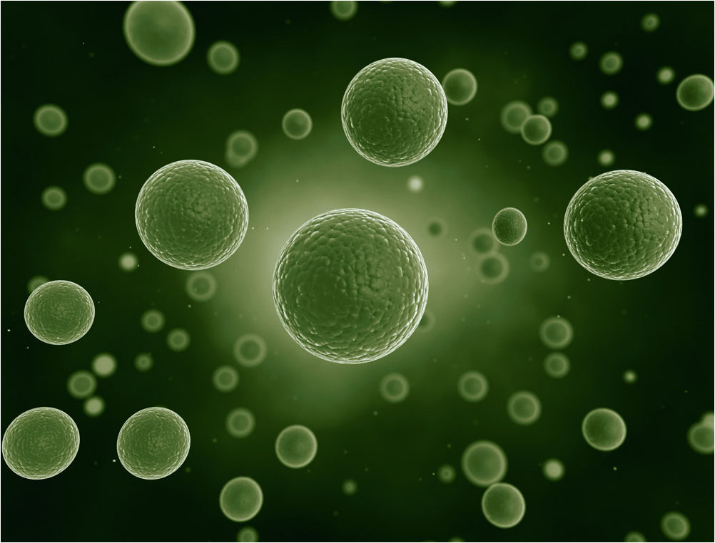 2020学习通六细胞生命历程网课答案