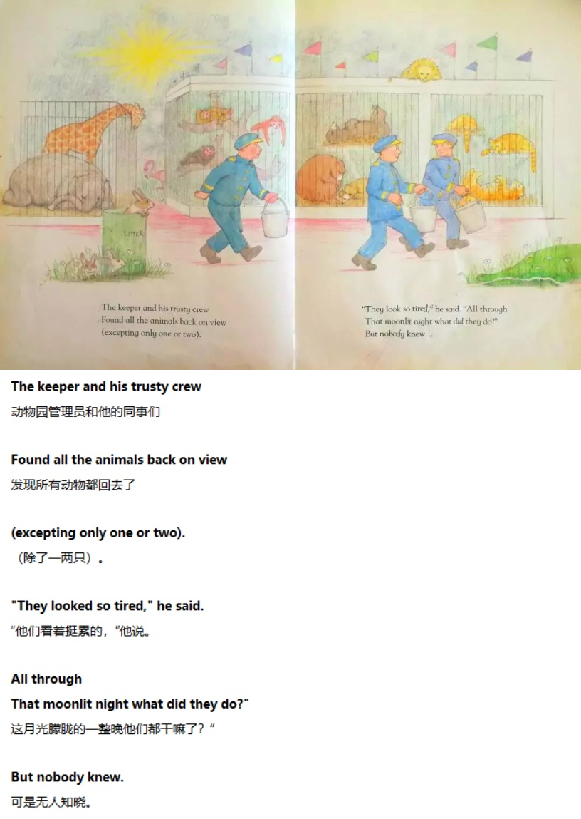 《One Night in the Zoo》动物园之夜09.jpg