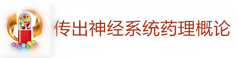 传出神经系统药理概论.jpg