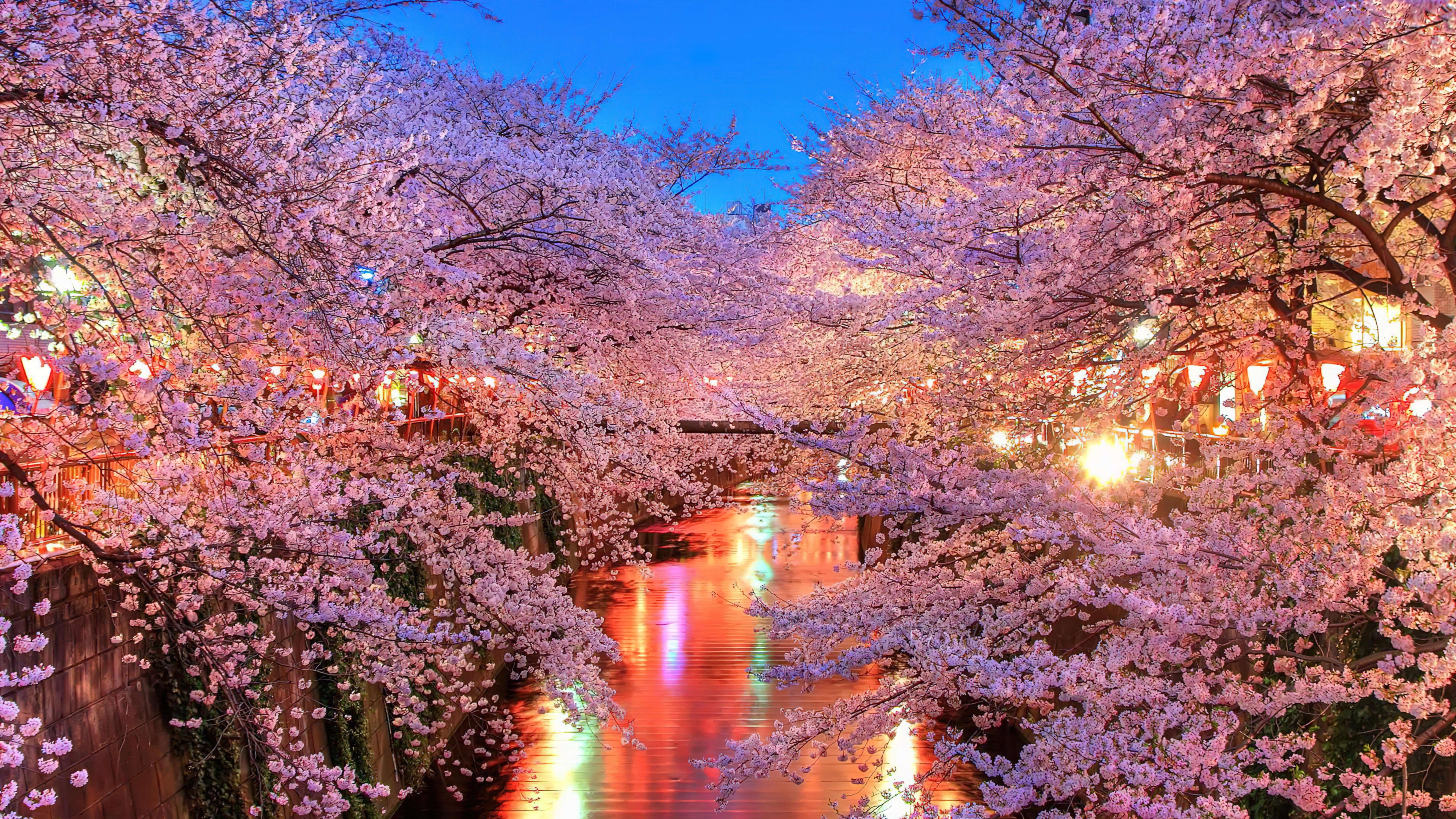 高清电脑背景图 雅致 背景图 通用桌面背景 #5587