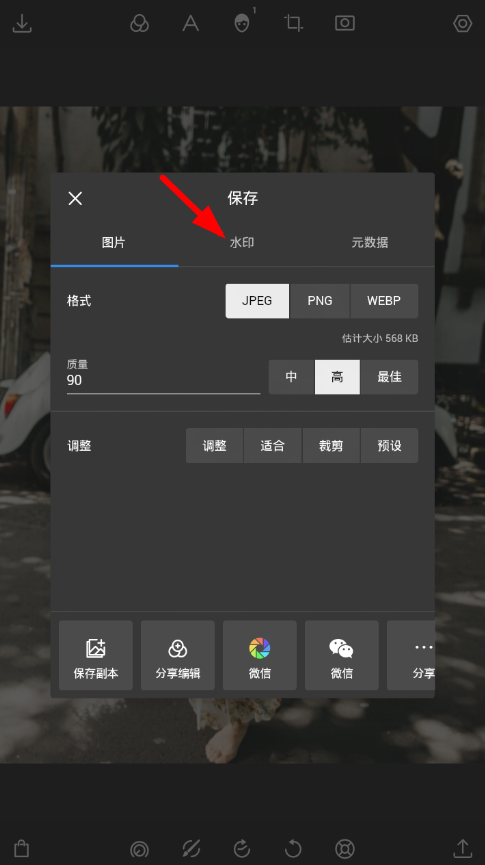 泼辣修图怎么去水印,只需几步就搞定 泼辣修图怎么去水印,只需几步就搞定