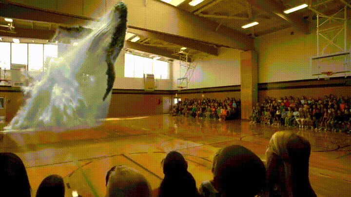 image90.gif