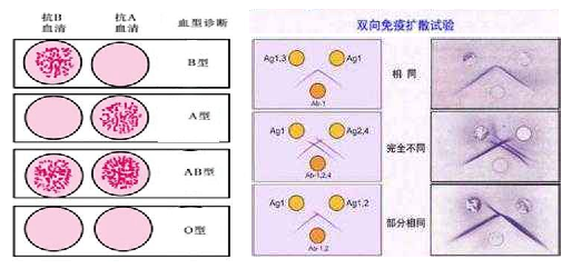 课程门户-章节详情
