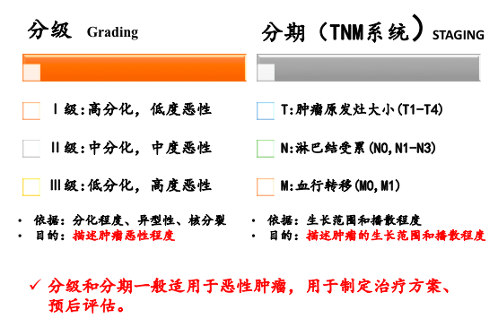 屏幕快照 2021-04-07 上午10.33.22.png