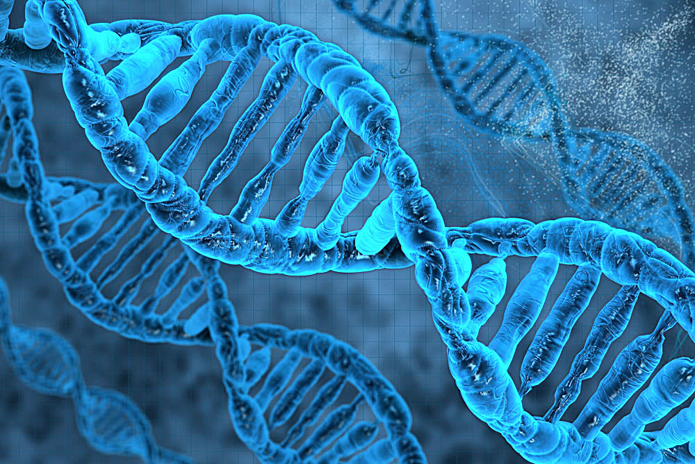 生物化学课程封面